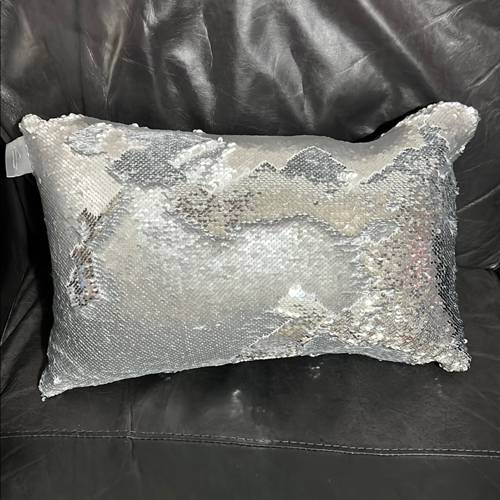 Aviva Stanoff Silk & Matte Silver Sequins Pillow